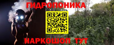 скорость Заводоуковск