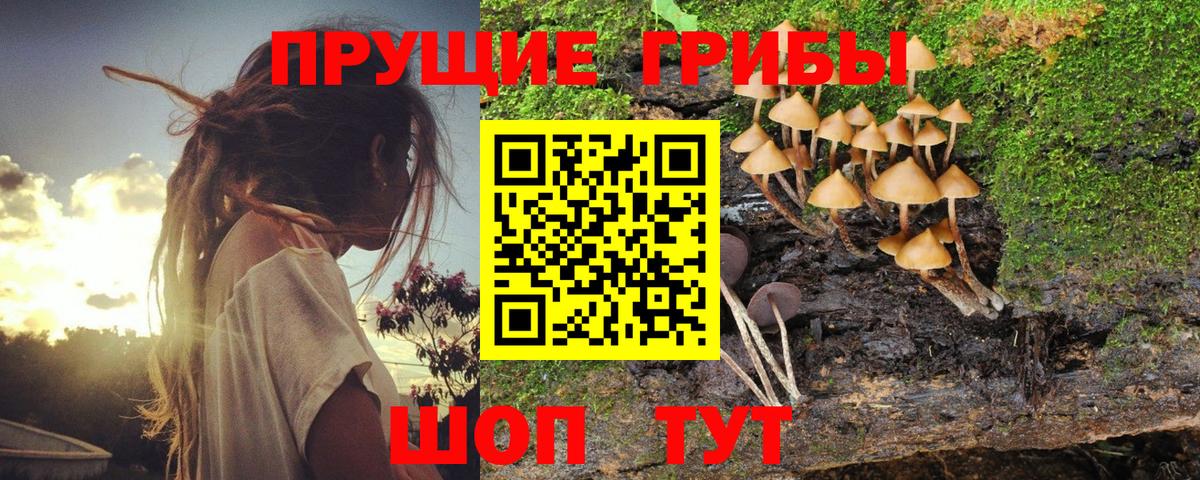 Верхний Уфалей  Галлюциногенные грибы прущие грибы  Вход с VPN 